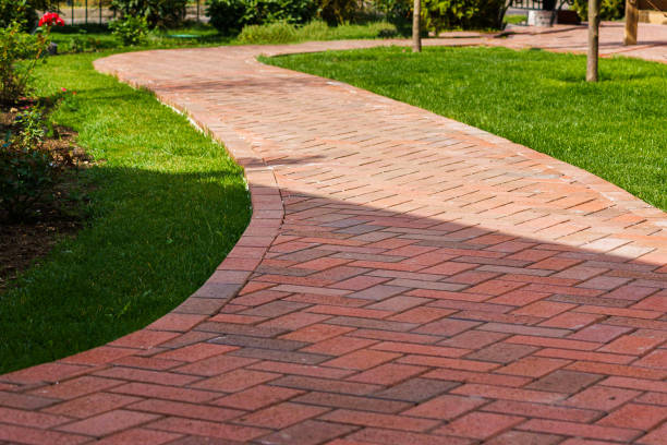 Best Driveway Paving Contractor  in Rio Bravo, TX
